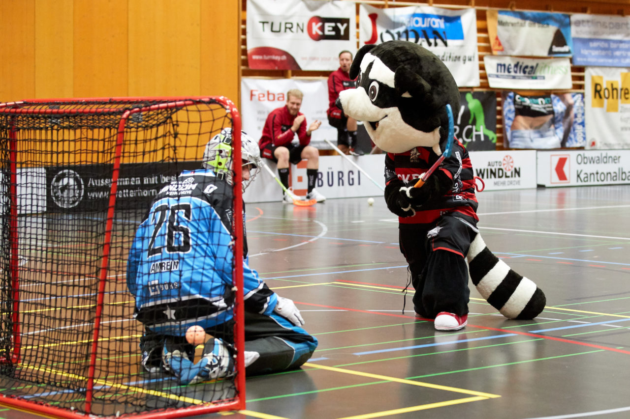 Ad Astra Sarnen - Basel Regio Resultat 4 : 3 
am 22. Januar 2017 in der Dreifachhalle Sarnen 
Bild: Michael Peter und Stefan Bräutigam