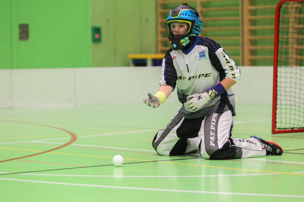 Hardau (Zürich), 28.01.2017, Unihockey Juniorinnen C 8. Runde, Unihockey Limmattal I - UHC Dietlikon, Stefanie Schwendener (Nr. 1, UHC Dietlikon)

(Claudio Schwarz, unihockey-fotos.ch)