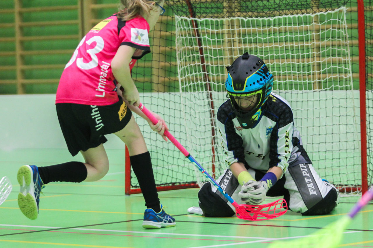 Hardau (Zürich), 28.01.2017, Unihockey Juniorinnen C 8. Runde, Unihockey Limmattal I - UHC Dietlikon, Stefanie Schwendener (Nr. 1, UHC Dietlikon) hält den Ball fest

(Claudio Schwarz, unihockey-fotos.ch)