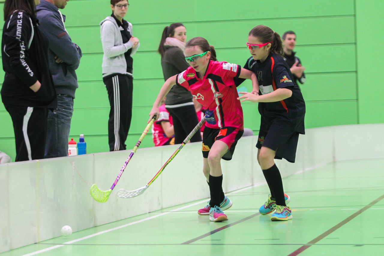 Hardau (Zürich), 28.01.2017, Unihockey Juniorinnen C 8. Runde, Unihockey Limmattal I - Hot Chilis

(Claudio Schwarz, unihockey-fotos.ch)