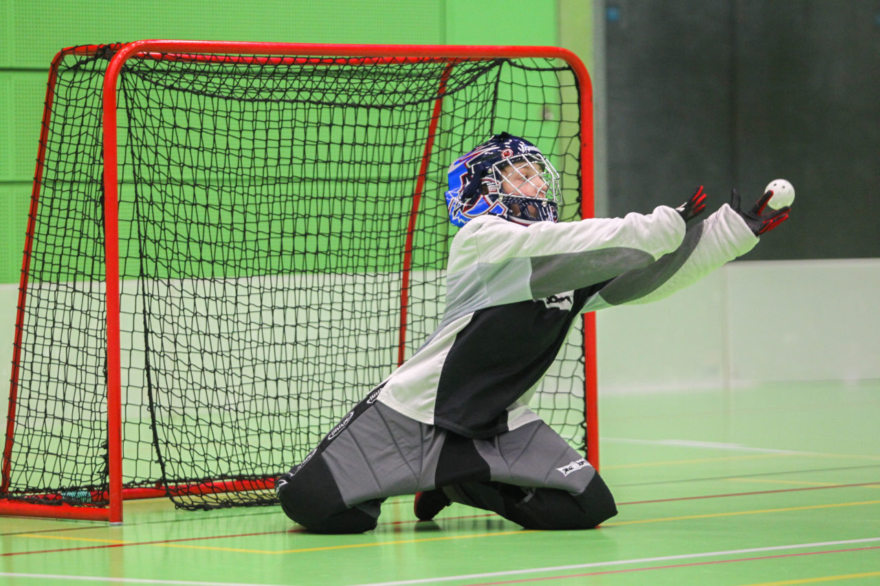 Hardau (Zürich), 28.01.2017, Unihockey Juniorinnen C 8. Runde, Unihockey Limmattal I - Hot Chilis

(Claudio Schwarz, unihockey-fotos.ch)