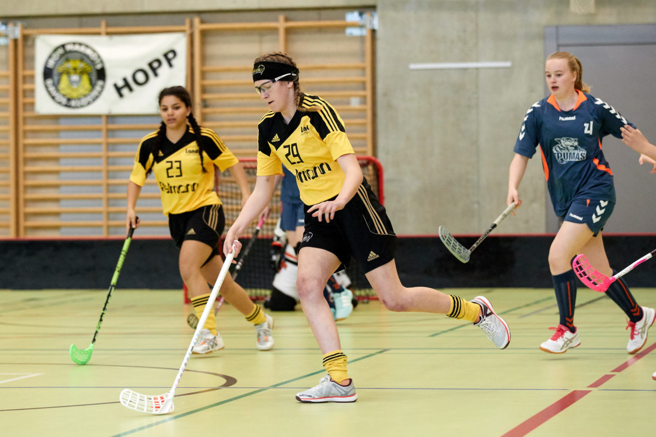 Schweizermeisterschaft 2018 der Juniorinnen B und C 
am 14. und 15. April  2018 in der Sporthalle Dorfmatt in Rotkreuz Der UHC Einhorn Hünenberg wird  in beiden Ligen Schweizermeister 
Bild: Michael Peter