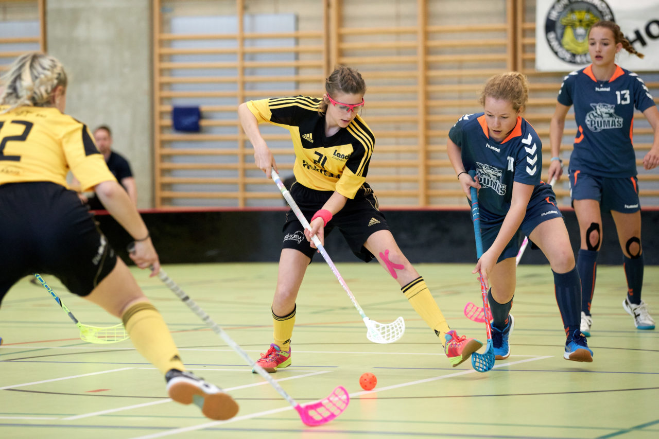 Schweizermeisterschaft 2018 der Juniorinnen B und C 
am 14. und 15. April  2018 in der Sporthalle Dorfmatt in Rotkreuz Der UHC Einhorn Hünenberg wird  in beiden Ligen Schweizermeister 
Bild: Michael Peter