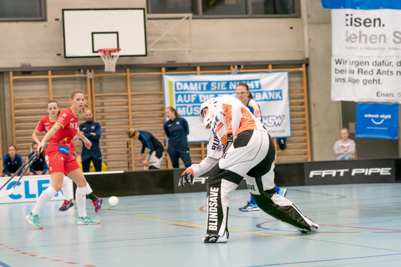 Oberseen (Winterthur), 16.02.2019, Unihockey Damen NLA 18. Runde, Red Ants Rychenberg Winterthur - Kloten-Dietlikon Jets, Monika Schmid (Nr. 29, Kloten-Dietlikon Jets) wirft den Ball aus

(Claudio Schwarz, unihockey-fotos.ch)

Copyright: Claudio Schwarz, unihockey-fotos.ch – Dieses Bild wurde durch swiss unihockey lizenziert und darf ausschliesslich auf den Online-Kanälen von swiss unihockey verwendet werden. Die redaktionelle oder kommerzielle Nutzung durch Dritte (Medien, Vereine, Unternehmen oder Privatpersonen) per Download von diesem flickr-Account ist ausgeschlossen. Das Bild kann bei Interesse via unihockey-fotos.ch kostenpflichtig lizenziert werden. unihockey-fotos.ch behält sich vor, fehlbaren Medien, Vereinen, Unternehmen oder Privatpersonen Bilder mit einem Zuschlag in Rechnung zu stellen.