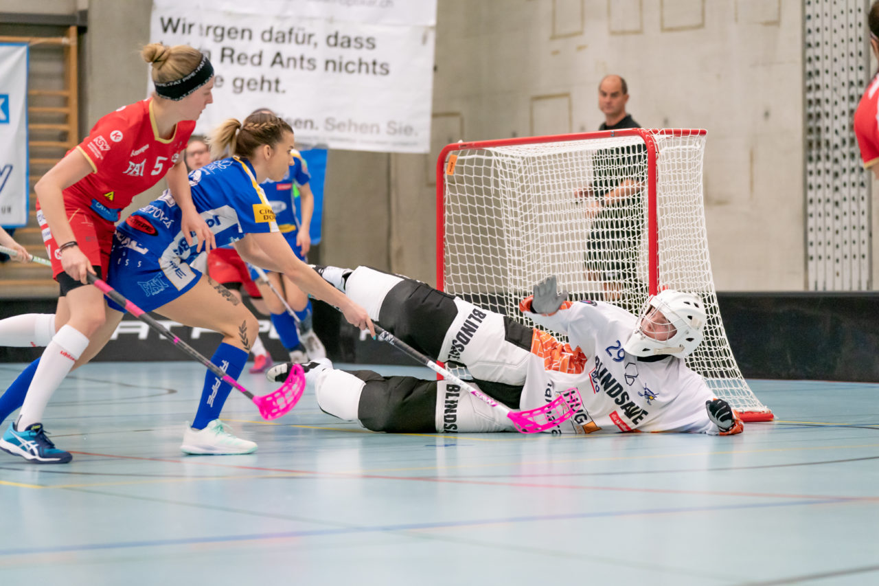 Oberseen (Winterthur), 16.02.2019, Unihockey Damen NLA 18. Runde, Red Ants Rychenberg Winterthur - Kloten-Dietlikon Jets, Monika Schmid (Nr. 29, Kloten-Dietlikon Jets) pariert einen Ball

(Claudio Schwarz, unihockey-fotos.ch)

Copyright: Claudio Schwarz, unihockey-fotos.ch – Dieses Bild wurde durch swiss unihockey lizenziert und darf ausschliesslich auf den Online-Kanälen von swiss unihockey verwendet werden. Die redaktionelle oder kommerzielle Nutzung durch Dritte (Medien, Vereine, Unternehmen oder Privatpersonen) per Download von diesem flickr-Account ist ausgeschlossen. Das Bild kann bei Interesse via unihockey-fotos.ch kostenpflichtig lizenziert werden. unihockey-fotos.ch behält sich vor, fehlbaren Medien, Vereinen, Unternehmen oder Privatpersonen Bilder mit einem Zuschlag in Rechnung zu stellen.